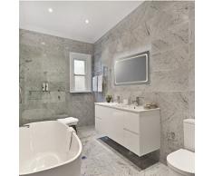 Miroir de salle de bain lED lumineux modèle eustath miroir 100 x 65 cm