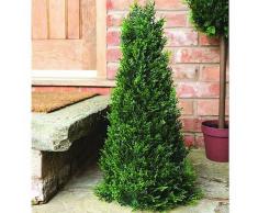 Gardman 02851 Arbuste topiaire artificiel en forme d'obélisque