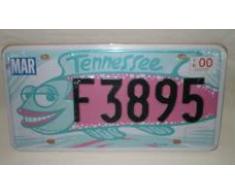Plaque immatriculation américaine Tennessee