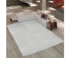 vidaXL Tapis à poil long crème 80 x 150 cm 2600g/m2