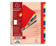 Classeur conférencier Leitz WOW - polypropylène 5/10 - fermeture par élastique - bloc A4 - menthe