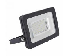 Biard Projecteur LED 30 Watts Lumière Économique Extérieur Peint Noir