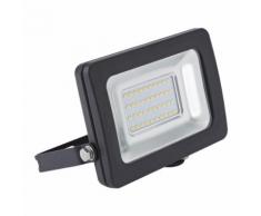 Biard Projecteur LED 20 Watts Éclairage Efficace Extérieur Peint Noir
