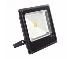 Biard Projecteur LED 50 Watts Éclairage Extérieur Économe en Énergie