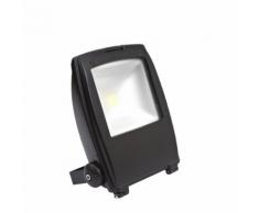 Biard Projecteur LED 30 Watts Architect Éclairage Extérieur Peint Noir