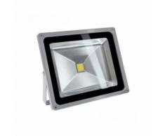 Projecteur LED Ecolife 12/24V DC - 50W - COB Bridgelux-Blanc Chaud 2800 - 3200K