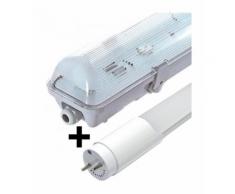 Plafonnier Avec Tube Led T8 - Etanche - 126.5 Cm - Blanc Neutre - PEREL