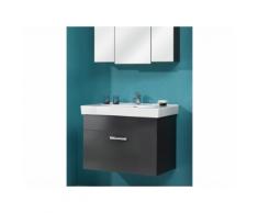 Meuble sous-vasque 1 tiroir avec vasque Longueur 75 cm WEASLEY Anthracite Avec armoire