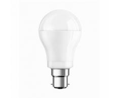 Ampoule LED standard 8W=60W culot B22 STAR