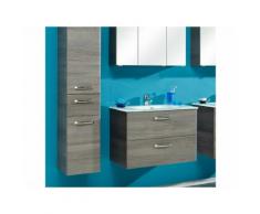 Meuble sous-vasque 2 tiroirs Longueur 73 cm WILLIAMS Graphite Avec armoire + colonne