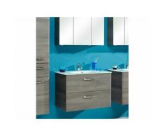 Meuble sous-vasque 2 tiroirs Longueur 73 cm WILLIAMS Graphite Avec armoire
