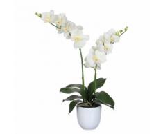 Fleur artificielle orchidée 2 tiges en pot blanc H.66cm ELLIOT Blanc