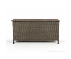 Coffre de rangement en aluminium et résine tressée avec roulettes 435L Gris
