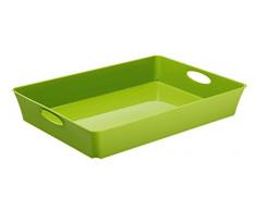 Rotho Living Boîte de rangement en polypropylène, Plastique, green(4.5 L), A4