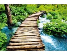 Eurographics Deco DW-DT2078 Papier peint Photo 254 x 366 cm Stairway à Heaven I
