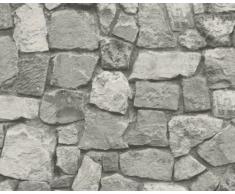 A.S. Création Papier peint Dekora Natur grisaille 10,05 m x 0,53 m 859525