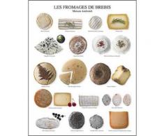 Les fromages de brebis, Maison Androuet - maître fromager depuis 1909, Atelier Nouvelles Images, affiche 24x30 cm,