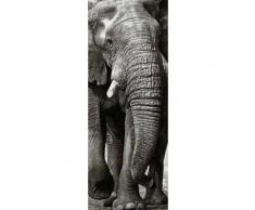 Papier peint lé unique Eléphant,
