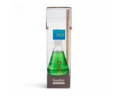 Diffuseur de parfum menthe froissée Vert