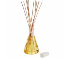 Diffuseur de parfum passion papaye Orange
