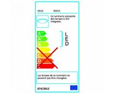 Plafonnier 9 lumières LED ACIER