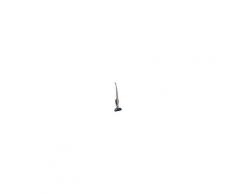 Aspirateur Balai ELECTROLUX ZB3213 Ergorapido Cyclo Tungstène métal