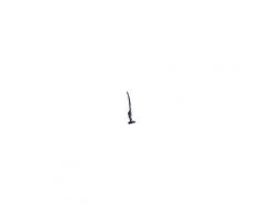 Aspirateur balai ELECTROLUX ZB3106 Ergorapido Cyclonic