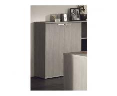 VIVO Élément bas de rangement 2 portes coloris bouleau gris