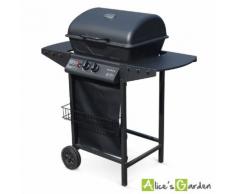 Barbecue au gaz Aramis cuisine extérieure 2 brûleurs avec tablettes latérales et thermomètre