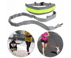 Laisse Chien Sangle/Corde Luisant + Ceinture Chien Élastique + Banane Pour Le Jogging/Promenade/Randonnée Gris