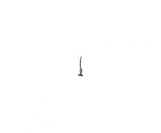 Aspirateur Balai ELECTROLUX ZB3214G Ergorapido Cyclonic noir