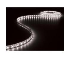 Flexible à led - blanc froid 6500k - 300 led - 5m - 24v velleman lq24w230cw65n - Appliques et spots