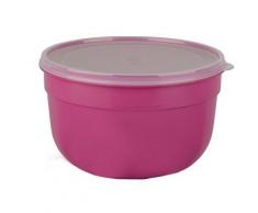 Emsa 517151 superline boîte alimentaire plastique rose 18 x 18 x 12 cm 2,25 l - Accessoires de rangement