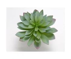 Plante artificielle echeveria sahara vert H.21cm NATURE