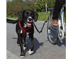Laisse de vélo pour grand chien Biker Set