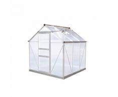 RUE DU COMMERCE Serre de jardin en polycarbonate - 3,6 m² - G1001F-B