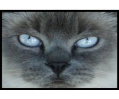 Digital Republic.com 40661 Paillasson Polyamide-PVC sans Phtalate