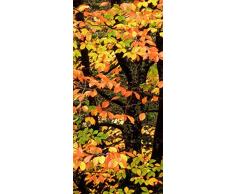 PeelitStickit id-0485Â 60Â Largeur x 130Â cm Hauteurâ¯: Belle Nature de Haute qualitÃ© en Vinyle Papier Peint Mural