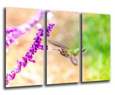 Tableau Moderne Photographique, Impression sur bois, Nature, colibri, fleur de macro, 97 x 62 cm, ref. 26226