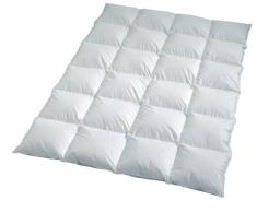 Häussling 210380802009 Komfort Plus Couette surpiquée de 4 x 6 Cassettes 90% Duvet 10% Plumes 155 x 220 cm