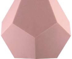FLYTE Skin-Rose Cache Pot pour Lyfe en Silicone, 13, 5 x 0, 5 x 13, 5