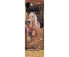 Innova H1640 Radiateur, Verre trempÃ© (BF), Cheval de Selle Ã lÃ©curie, Unique
