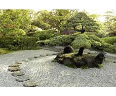 Scenolia Tableau dÃ©coratif Grand Format sur Toile CHANIWA 90 x 60 cm | Impression Haute qualitÃ©