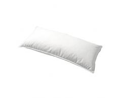 Manteuffel Gold Coussin Double Rembourrage, Blanc, 40 x 80 cm