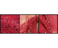 Scenolia Tableau Verre Acrylique panoramique ECLAT 90x 30 cm | DÃ©coration Murale Design Fait en France