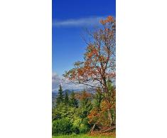 PeelitStickit id-334 60 Largeur x Hauteurâ¯: 130 cm Paysage de Haute qualité en Vinyle Papier Peint Mural