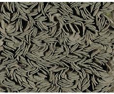 Toulemonde Bochart Collection Linea ModÃ¨le Cips Tapis Laine Taupe 240 x 170 cm