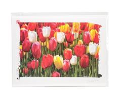 Papier Maison Artist Series Photo Carte avec enveloppe Motif Tulipes, Acrylique, Multicolore, 2Â piÃ¨ces