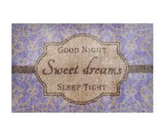 LifeStyle-Mat Paillasson pour Porte dentrÃ©e intÃ©rieur extÃ©rieur Tapis AntidÃ©rapants Lavable