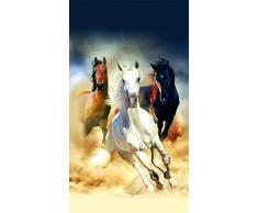 AG Design fcsl 7576Â + CN 3602/Chevaux, Voilage, (1Â piÃ¨ces), CoussinÂ âÂ 1Â Partie, Plastique, Colorful, 45Â x 45Â cm